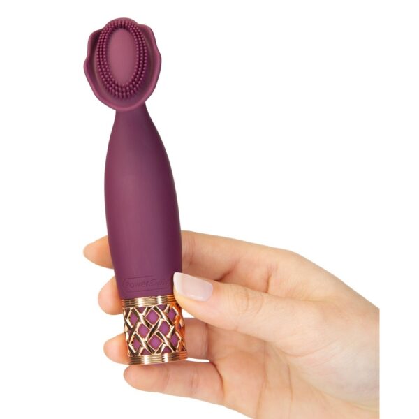 Pillow Talk Secrets Passion Mini Massager-