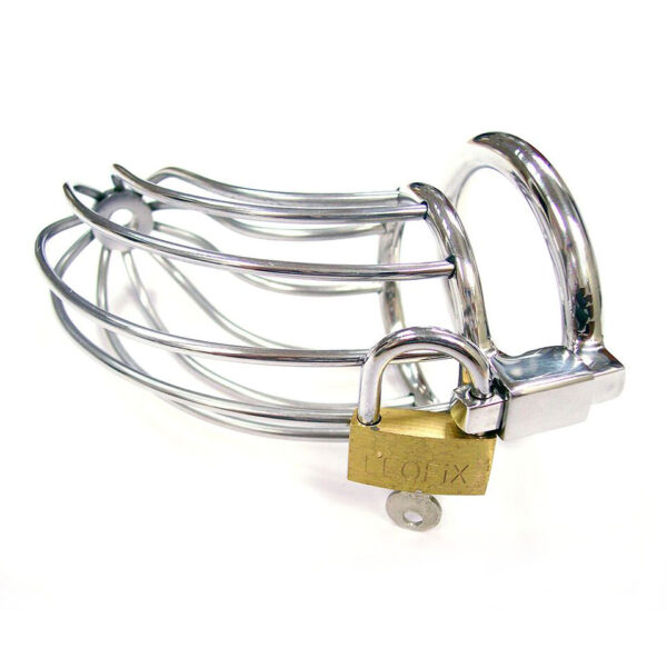 Rouge Stainless Steel Chasity Cock Cage With Padlock-