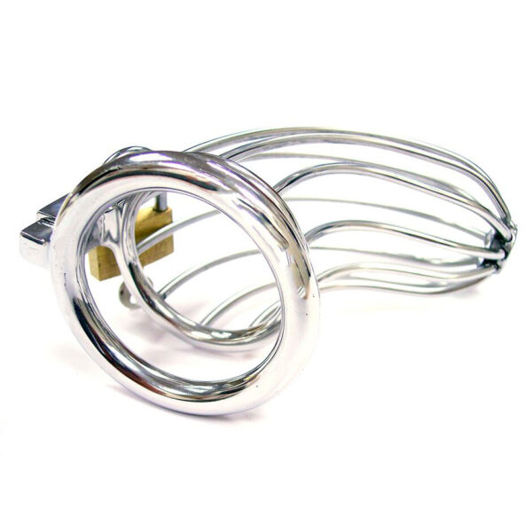 Rouge Stainless Steel Chasity Cock Cage With Padlock-