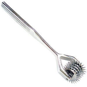 Rouge Stainless Steel 5 Wheel Pin Wheel-RPW03x.jpg