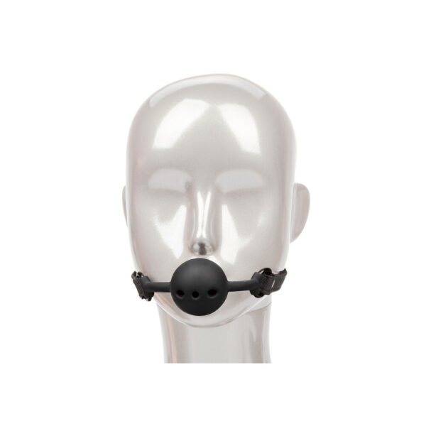 Boundless Breathable Ball Gag-